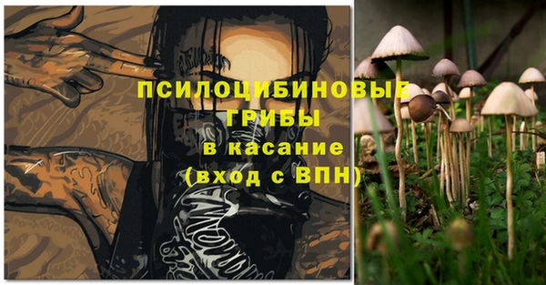 a pvp Надым