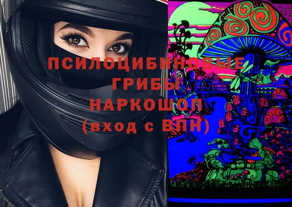 прущие грибы Абинск